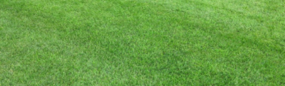 ▷Solutions To Artificial Grass Challenges In Santee