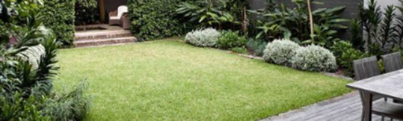 ▷Ways To Maintain Your Artificial Grass Lawn For Summer Season Santee