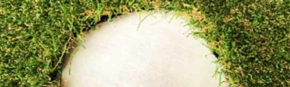 ▷7 Tips To Repair Holes In Artificial Grass Santee