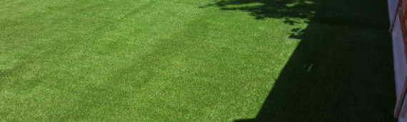 ▷7 Tips To Secure The Edges Of Artificial Grass Santee