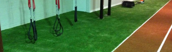 ▷7 Tips To Use Artificial Grass For Home Gym Santee