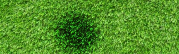 ▷7 Tips To Fix Burn Marks On Artificial Grass Santee