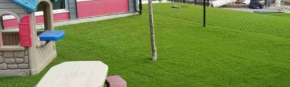 ▷7 Tips To Install Artificial Grass In Your Small Garden Santee