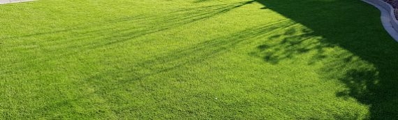 ▷7 Tips To Do Artificial Grass Edging In Santee